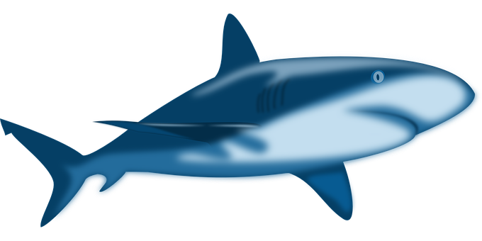 A Blue Shark With Black Background