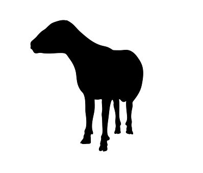 A Silhouette Of A Sheep
