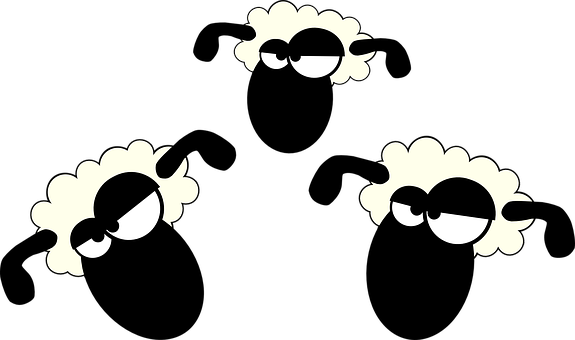 A Group Of Sheep With Eyes