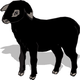 A Black Sheep Standing On A Black Background