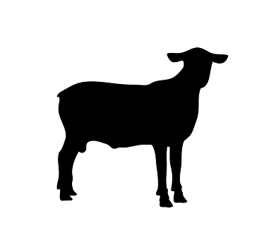 A Black Silhouette Of A Sheep