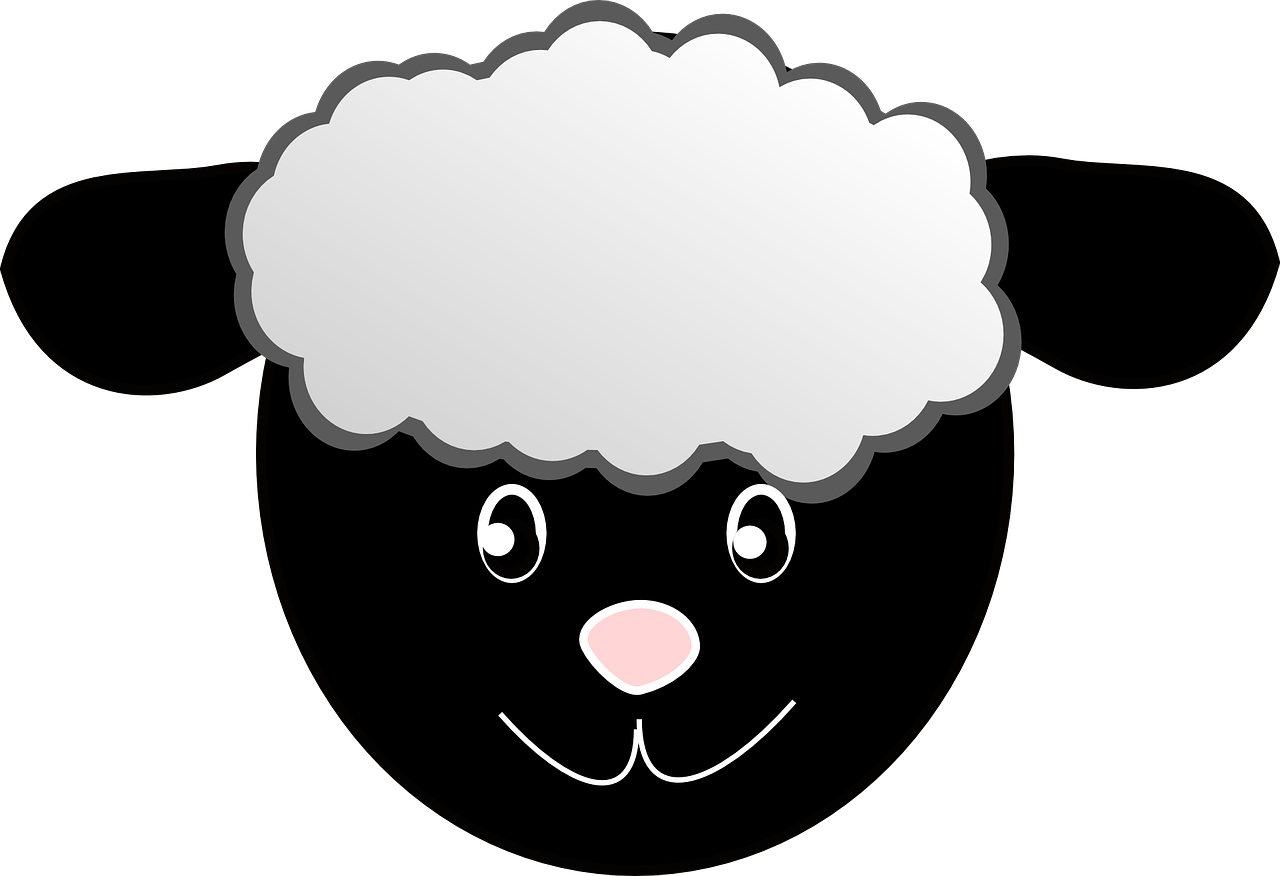 A Black And White Sheep Face