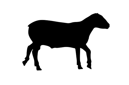 A Silhouette Of A Goat