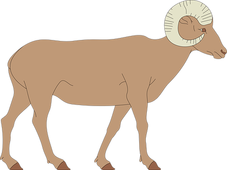 A Cartoon Of A Ram
