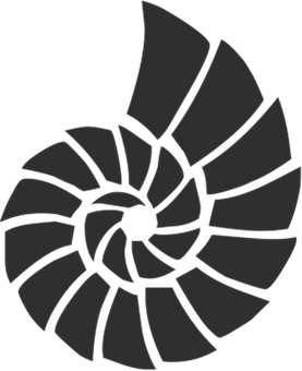 A Black And Grey Spiral