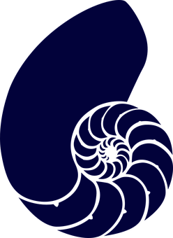 A Blue And Black Spiral