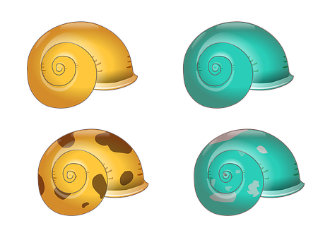 A Group Of Colorful Snails