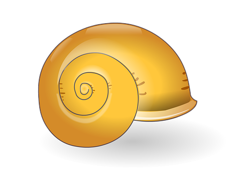 A Yellow Shell On A White Plate
