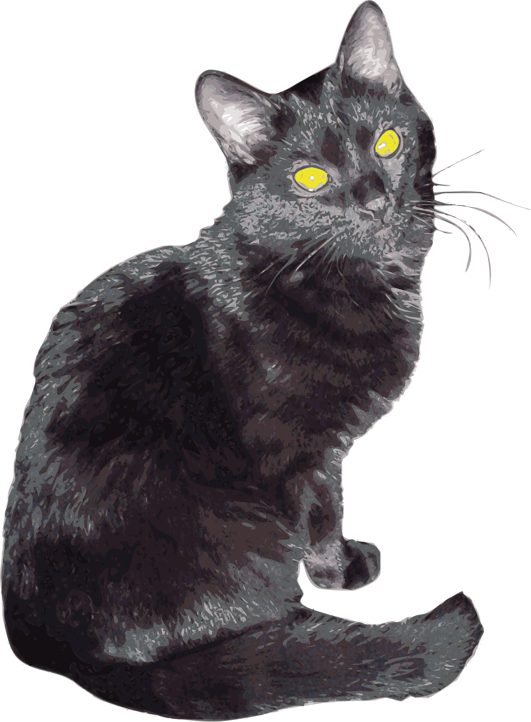A Black Cat With Yellow Eyes