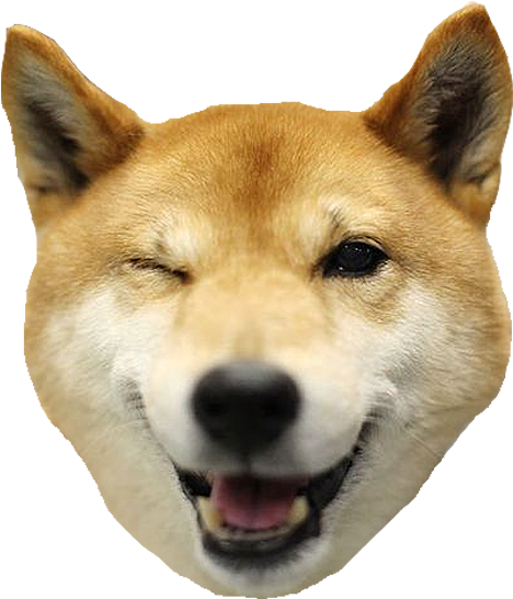 Shiba Dog's Head Messages Sticker-5 - Shiba Inu Thank You, Hd Png Download