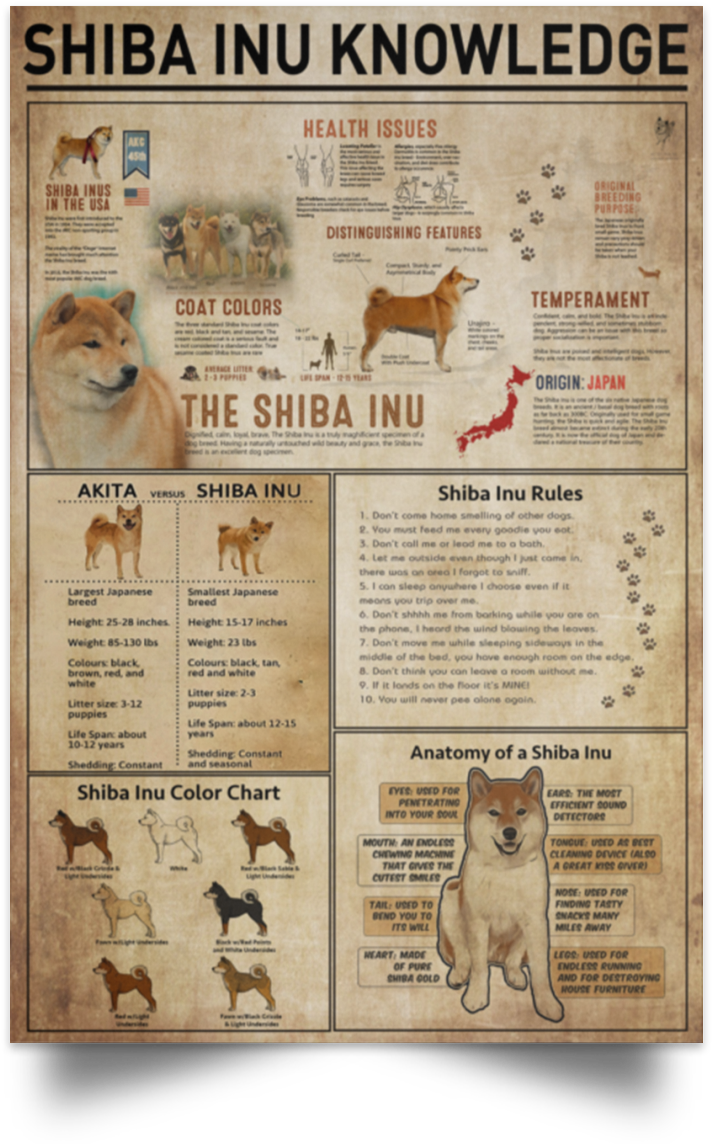 Shiba Inu Knowledge Poster'class= - Information Shiba Inu Facts, Hd Png Download