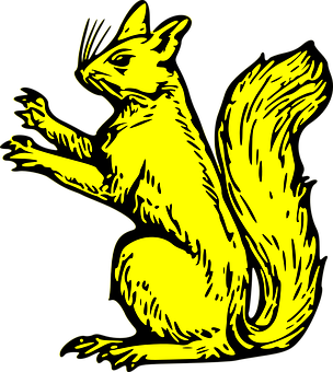 A Yellow Squirrel With Black Background