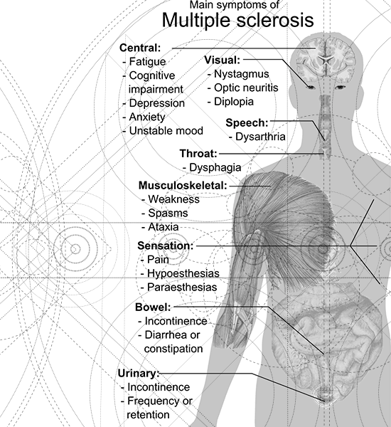 A Black And White Image Of A Human Body