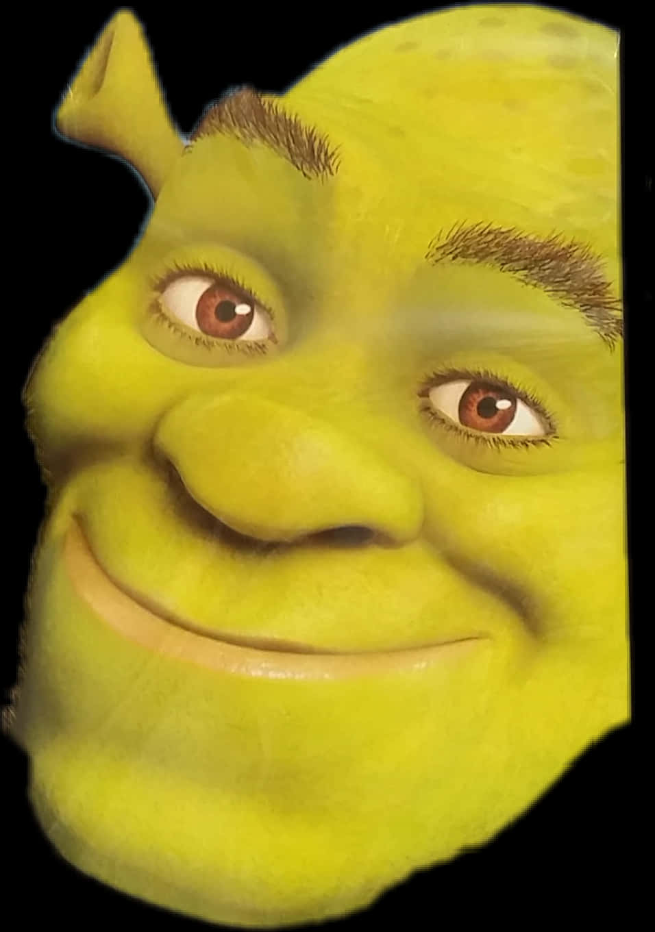 Shrek Close-up