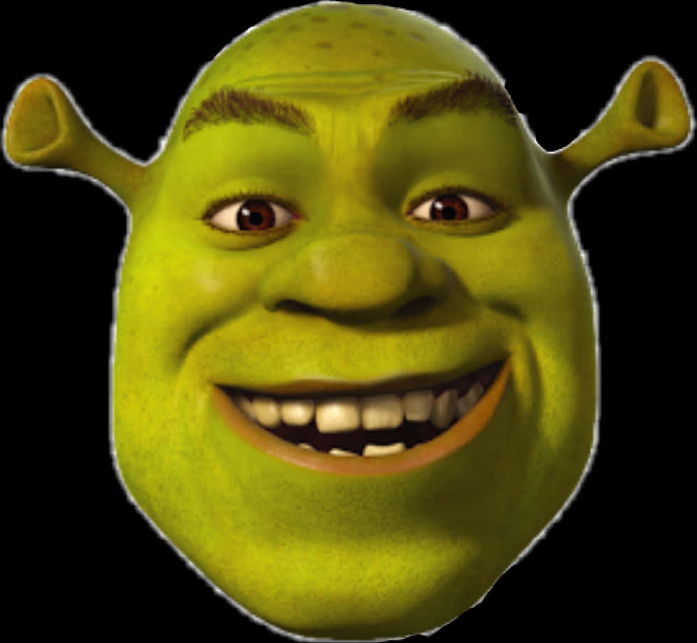 Shrek Grinning Face