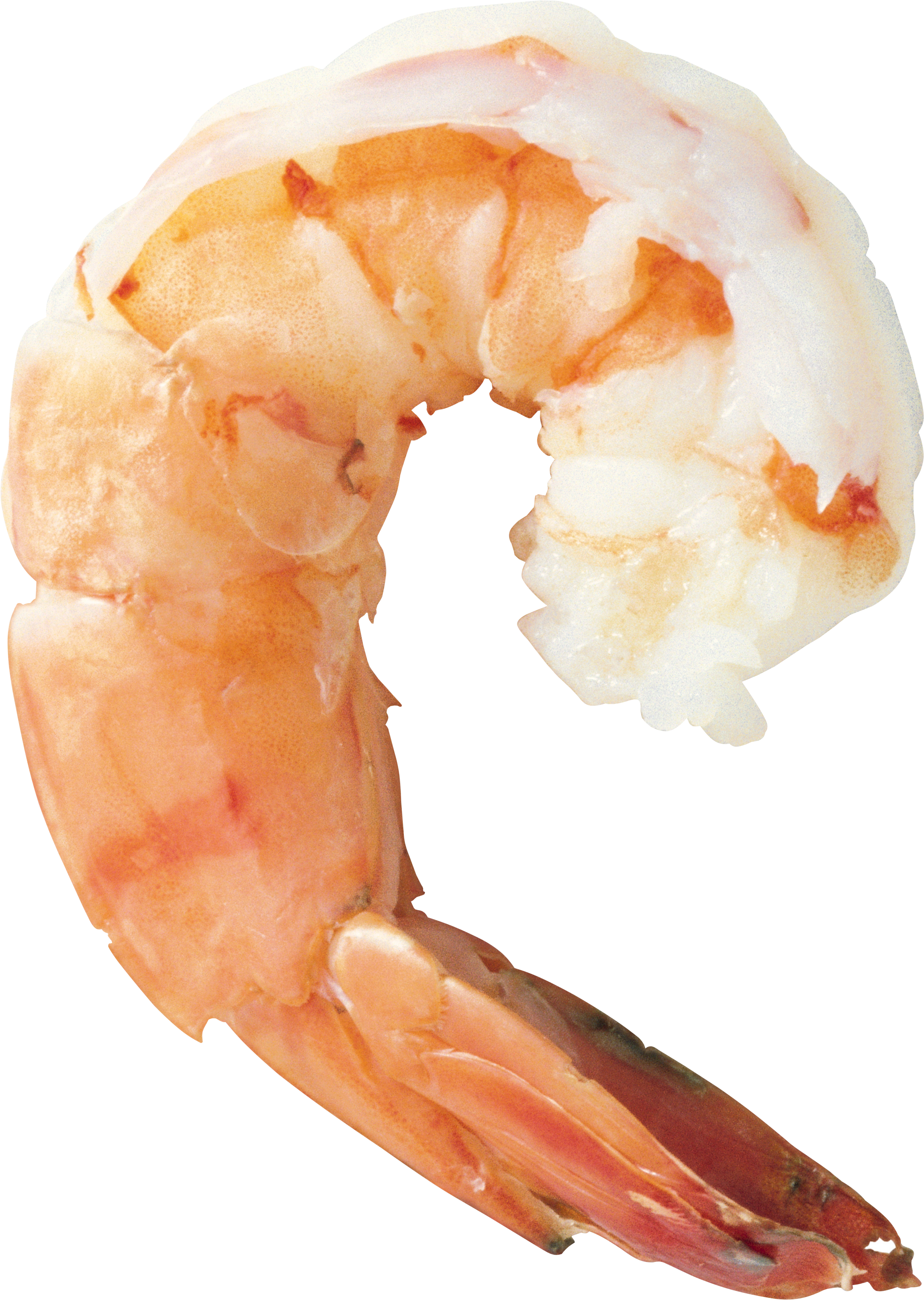 A Close Up Of A Shrimp