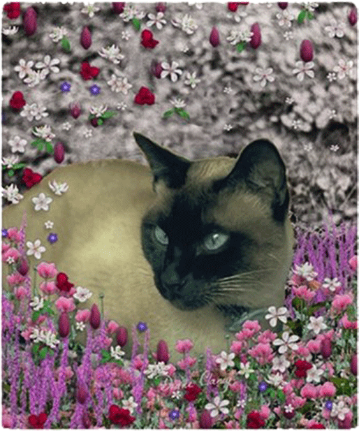 A Cat Lying In A Flower Bed