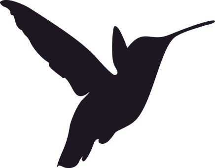 Silhouette Png 436 X 340