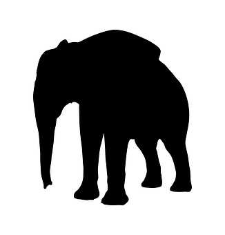 A Silhouette Of An Elephant