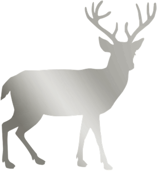 A White Deer With Antlers