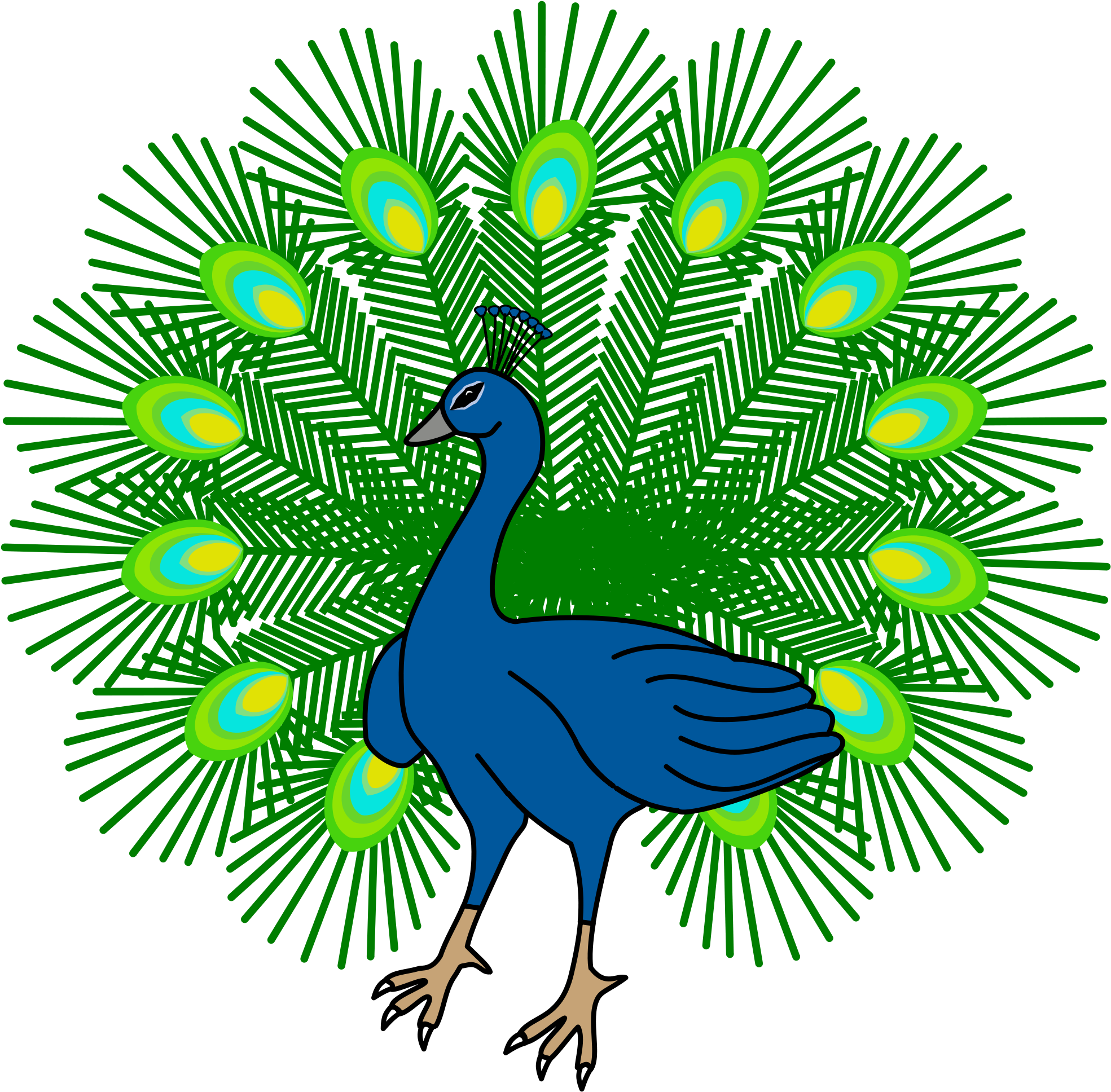 A Blue Bird With Green And Yellow Feathers