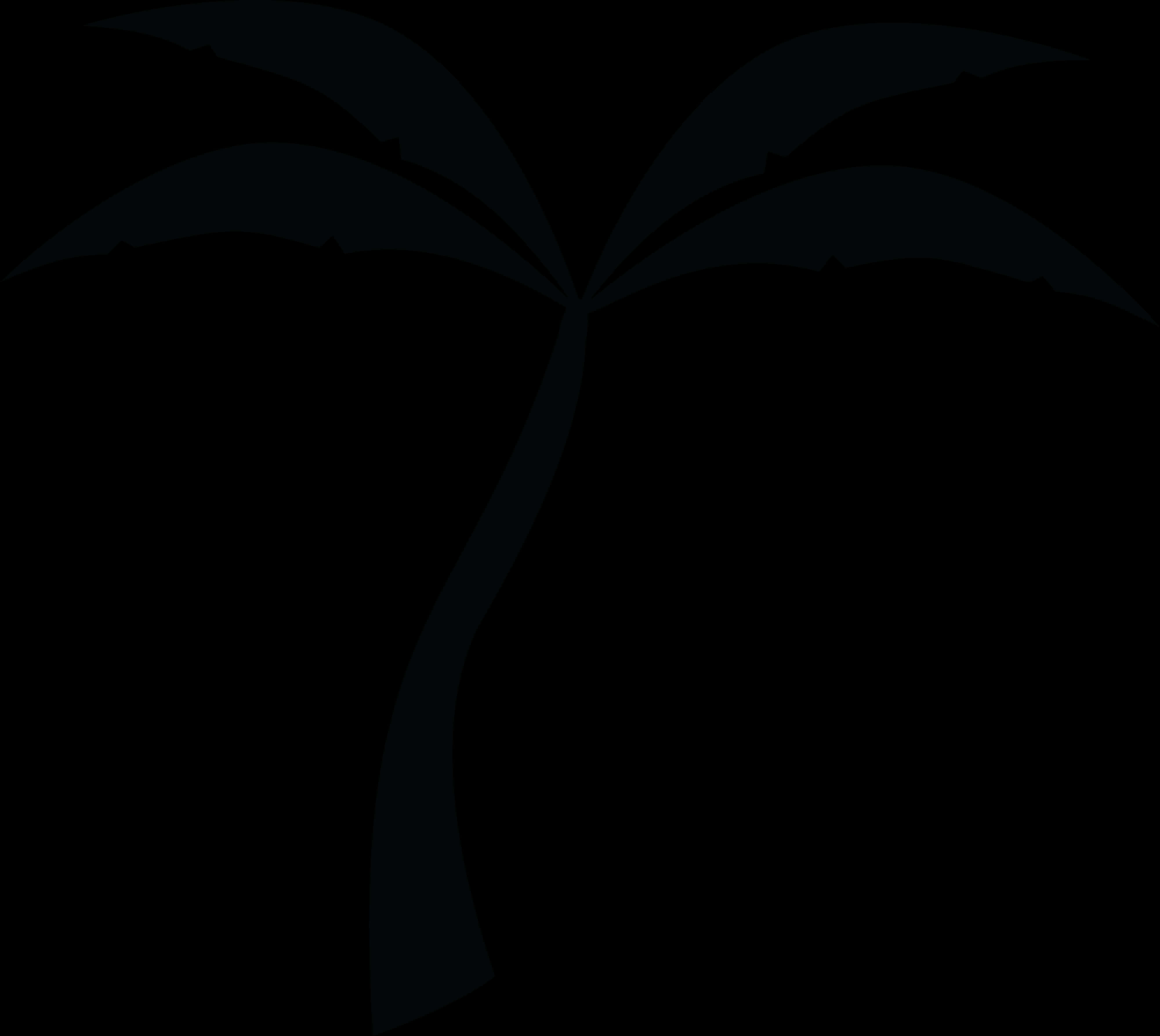 A Black Palm Tree Silhouette