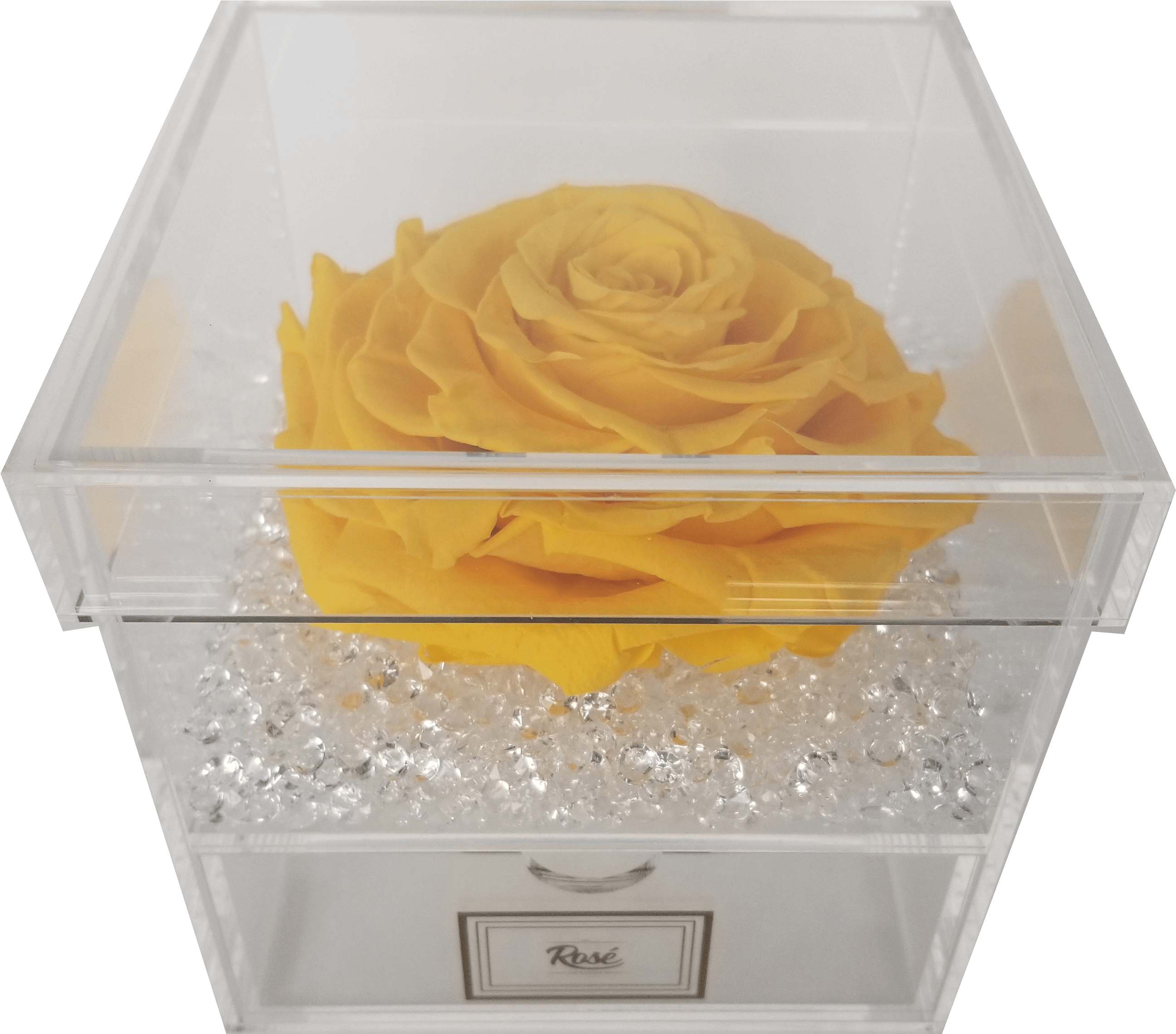 A Yellow Rose In A Clear Box
