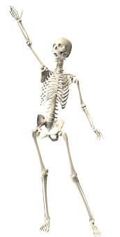 A Skeleton Dancing With One Hand Up