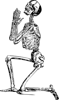 A Skeleton With A Black Background