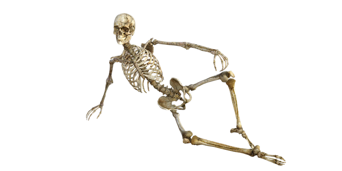 A Skeleton Lying On The Floor