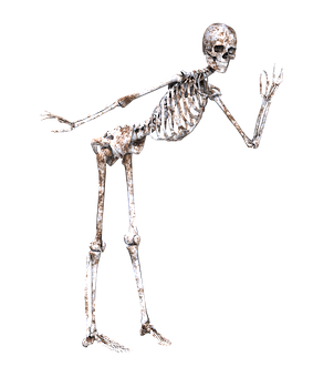A Skeleton Standing In A Pose