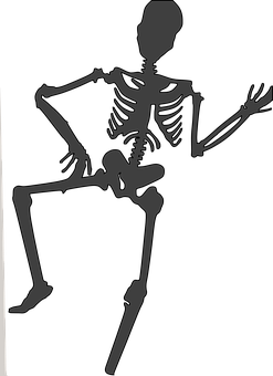 A Skeleton On A Black Background