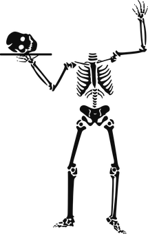 A Skeleton Holding A Skull