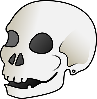 A White Skull With Black Background