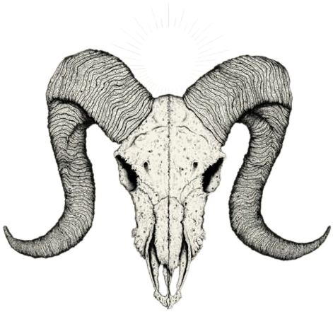 Skull Drawing Png 471 X 441