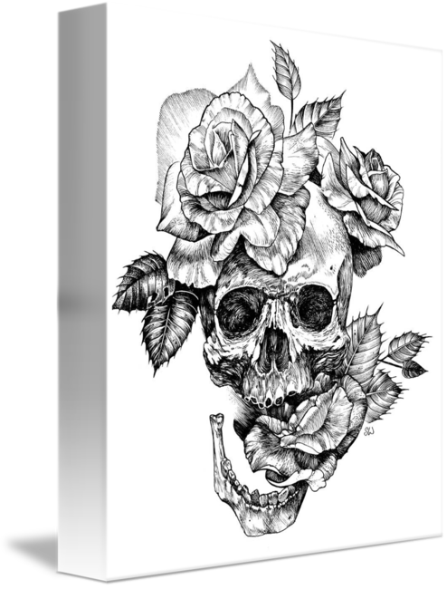 Skull Drawing Png 494 X 650