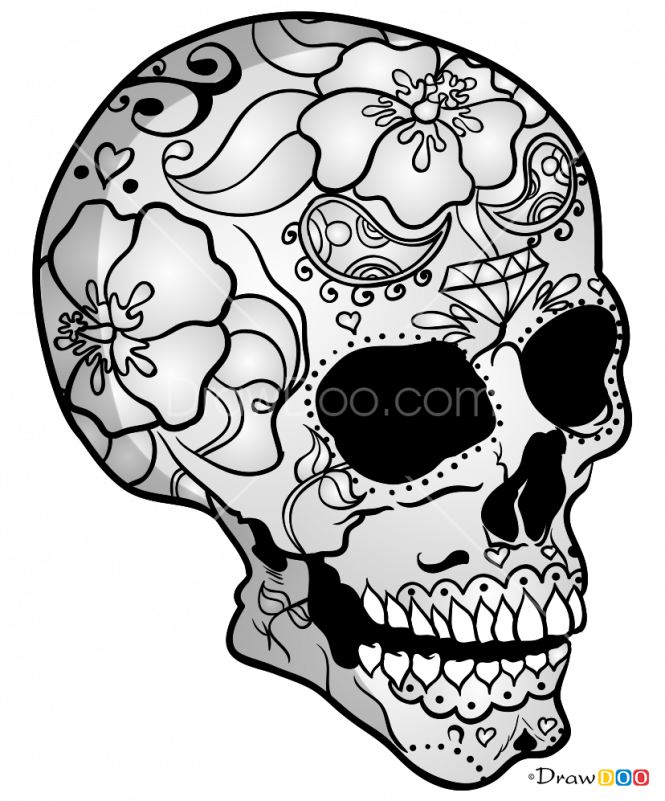 Skull Drawing Png 665 X 801