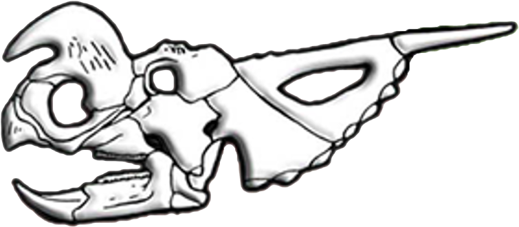 A White Skull With Black Background