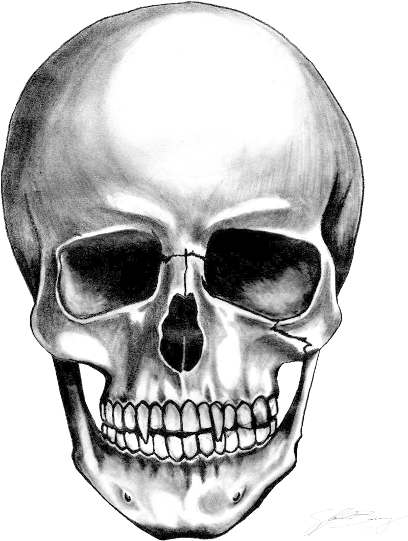 A Drawing Of A Skull