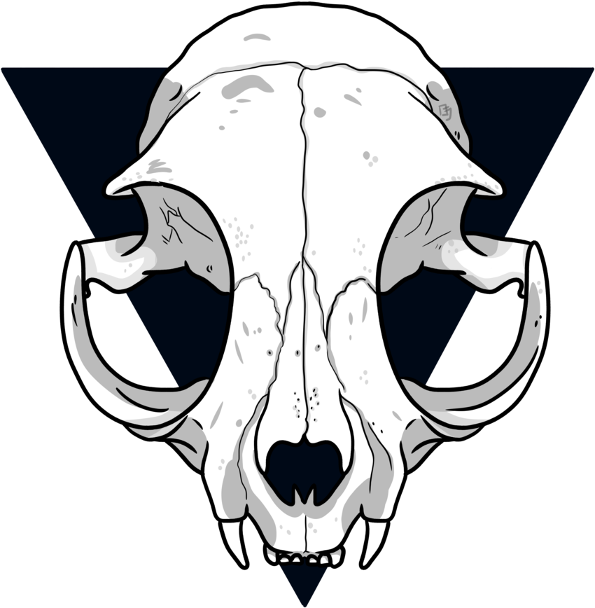 A White Skull With Black Triangles