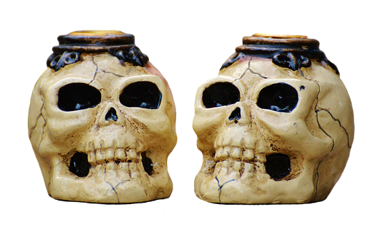Skull Png 556 X 340