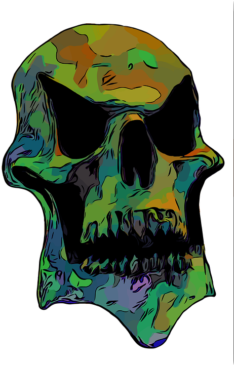 Skull, Hd Png Download