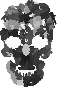 A Black And White Skull