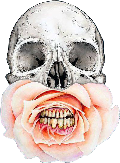 A Skull With A Rose In Its Mouth