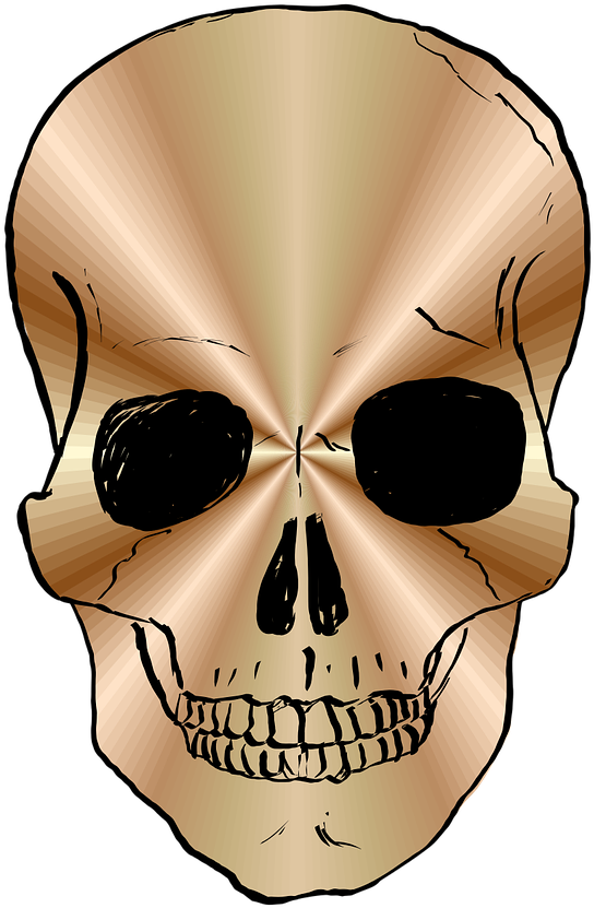 A Skull With A Black Background