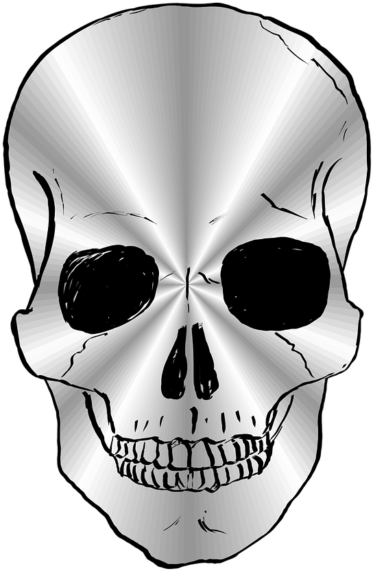 Skull Vector Png 544 X 831