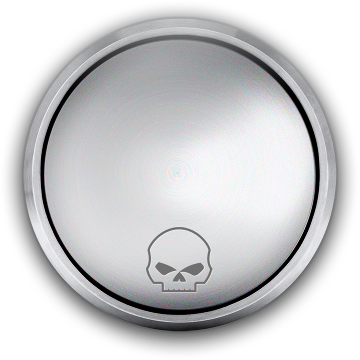 A Round Silver Button With A Skull On It