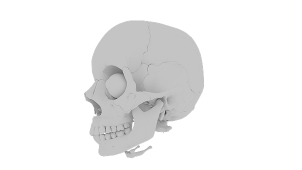 Skull Png 604 X 340