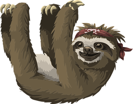 A Sloth With A Bandana On Its Head