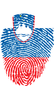 A Fingerprint With A Flag